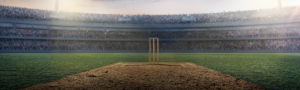 cricket, soca cricket, cricket, ontario cricket, cricket ontario, cricket in ontario, south ontario cricket, cricket clubs